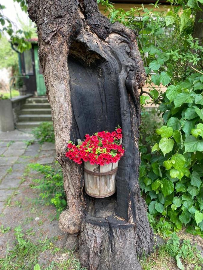 Old Summer House With Renovated Bathroom Prag Exterior foto